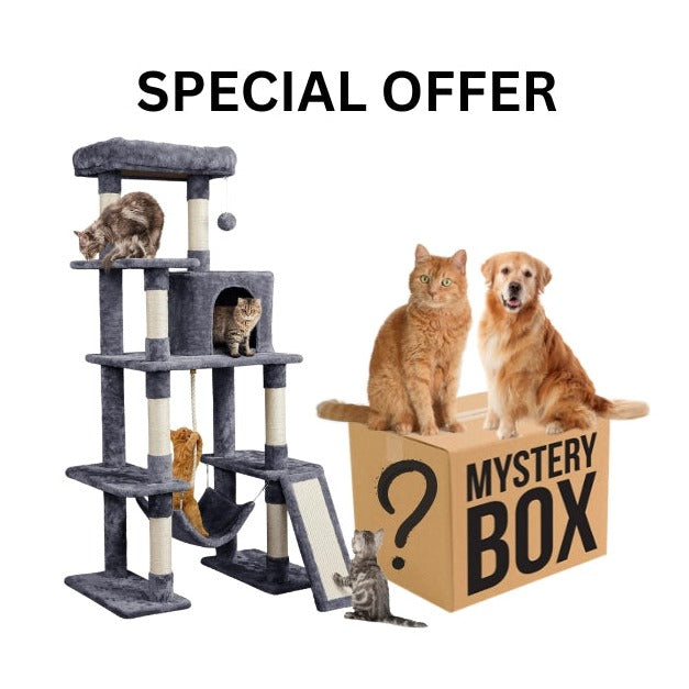 Surprise Mystery Box