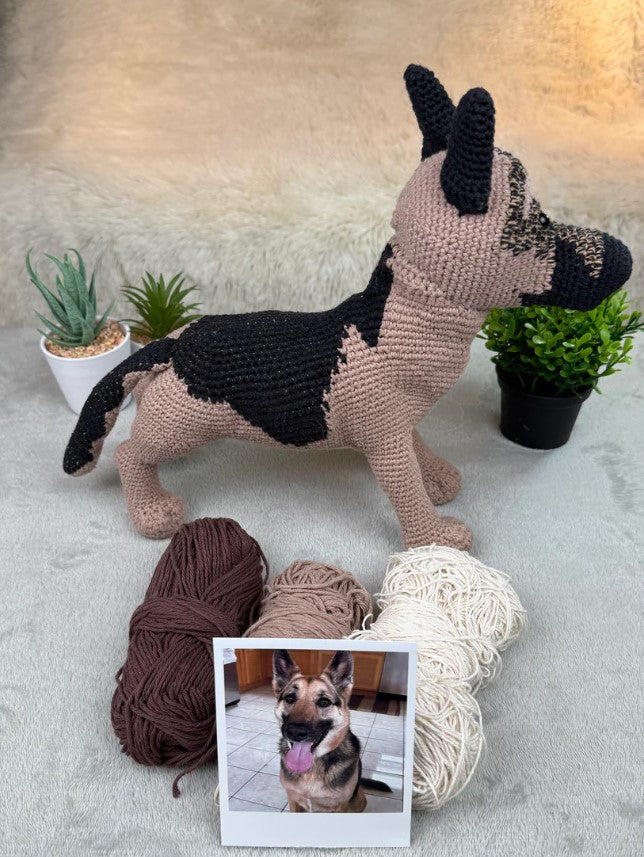 Custom Crochet Pet