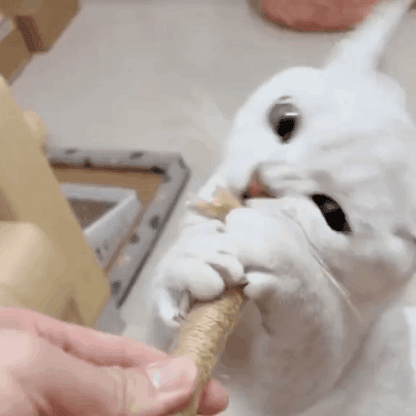 SilverFeline™ Chew Sticks - Free Today!
