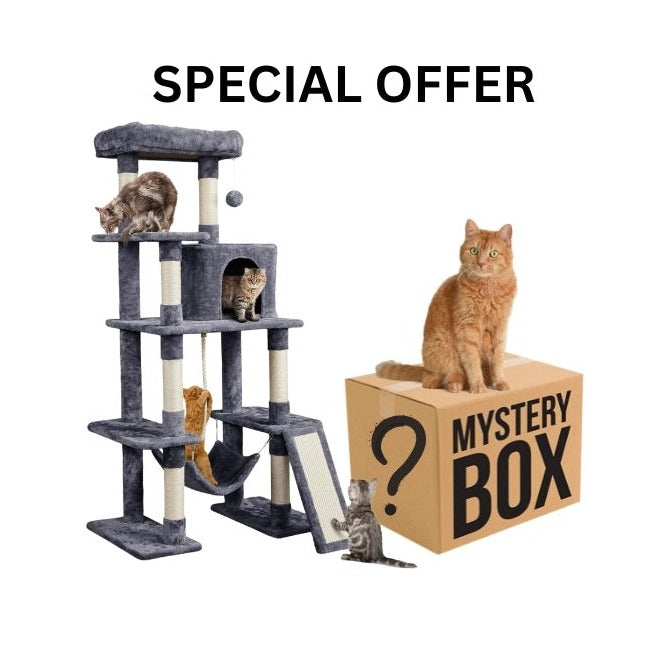 Mystery Box