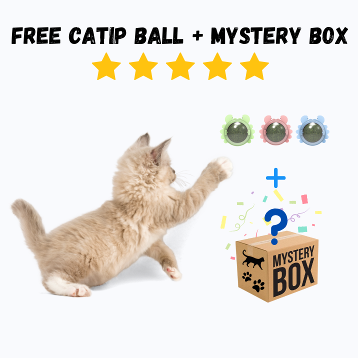 Mystery Box