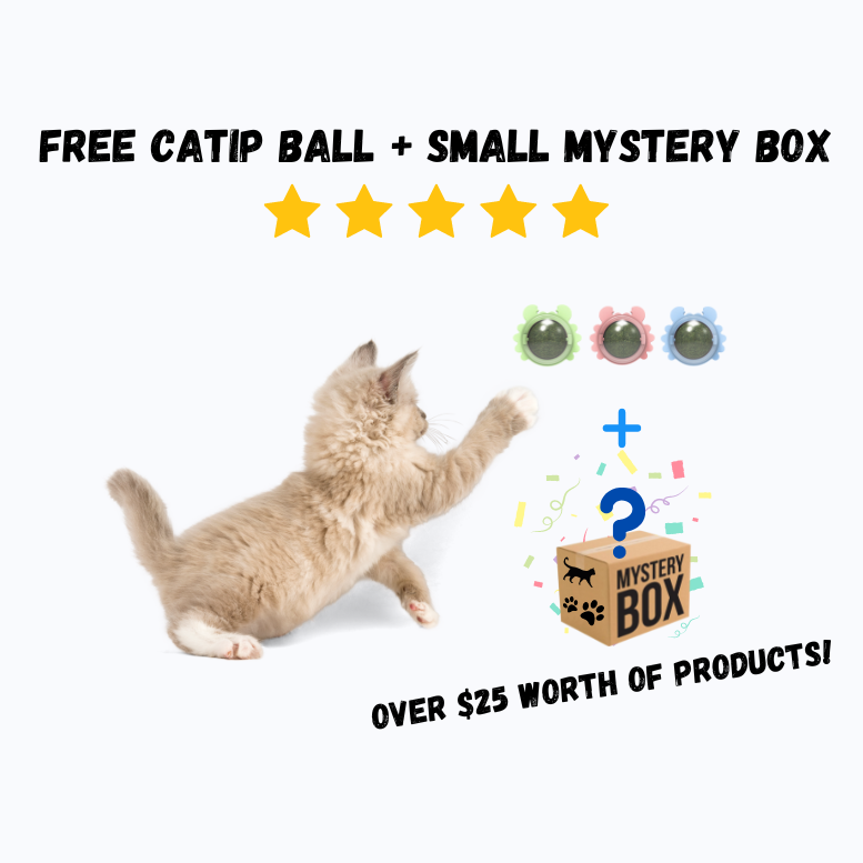 Mystery Box