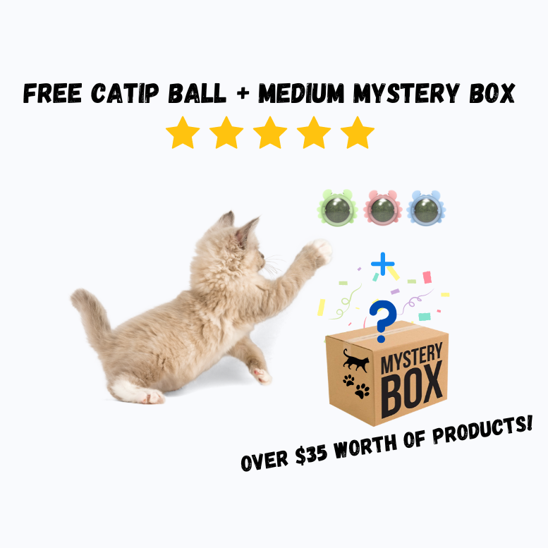 Mystery Box