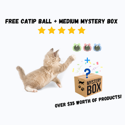 Mystery Box