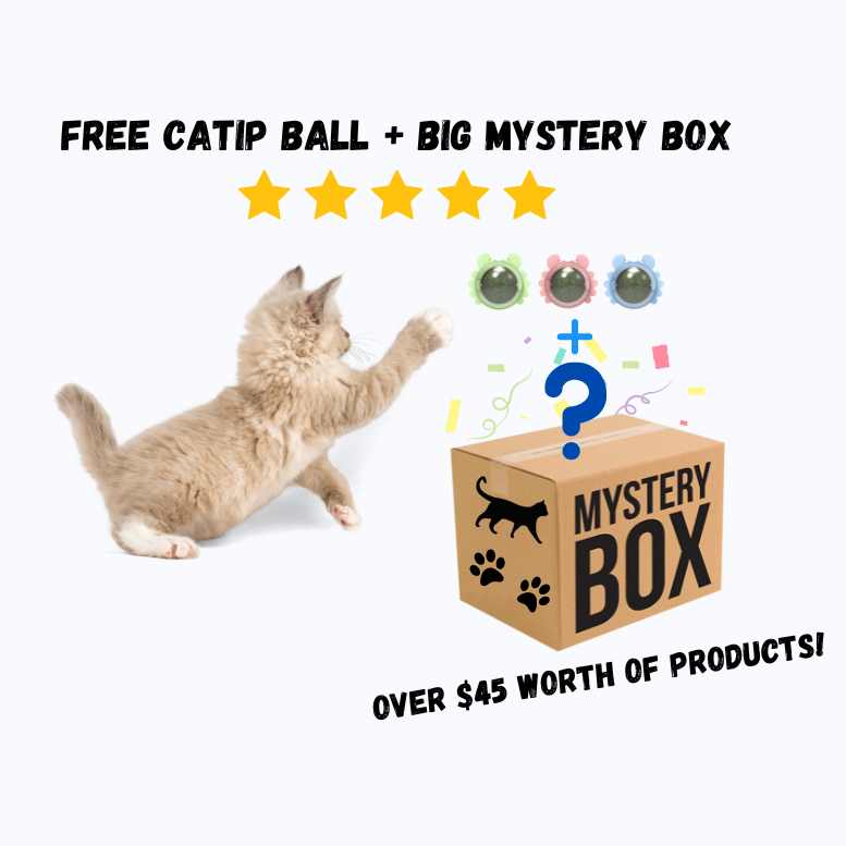 Mystery Box