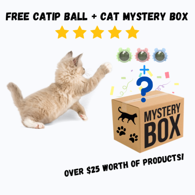 Mystery Box
