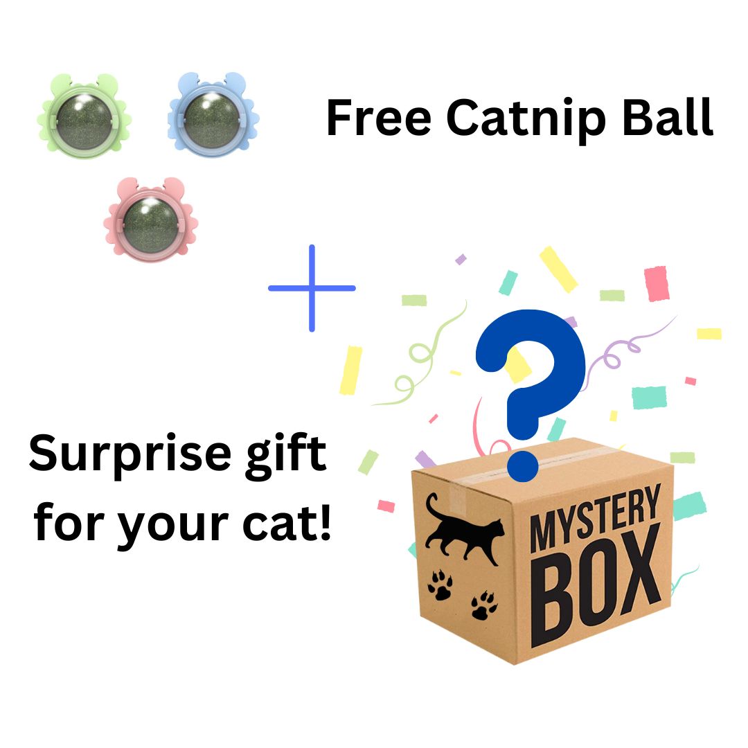Mystery Box