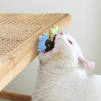PurrPurr™ Catnip Ball - Free Shipping!