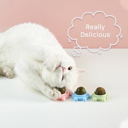 PurrPurr™ Catnip Ball - Free Shipping!