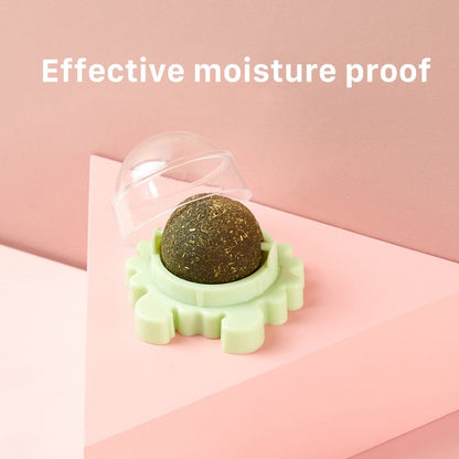 PurrPurr™ Catnip Ball - Free Shipping!
