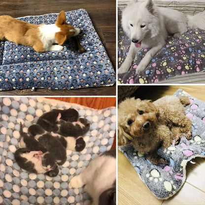 Cozy Calm Pet Blanket [Free Today]