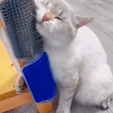 KittyKorner™ Brush - Free Today!