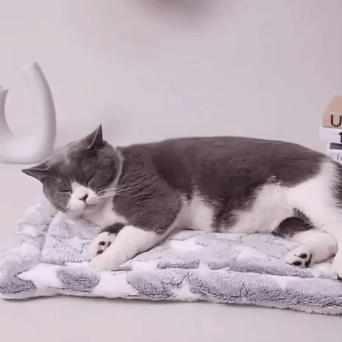 Cozy Calm Pet Blanket [Free Today]