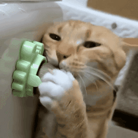 PurrPurr™ Catnip Ball - Free Shipping!