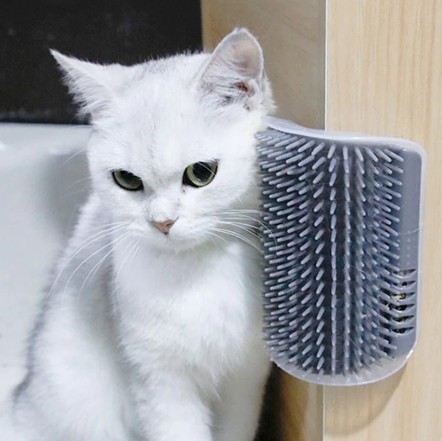 KittyKorner™ Brush - Free Shipping