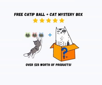 Mystery Box