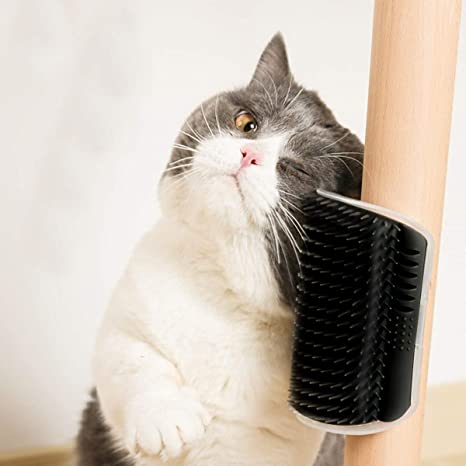 KittyKorner™ Brush - Free Today!